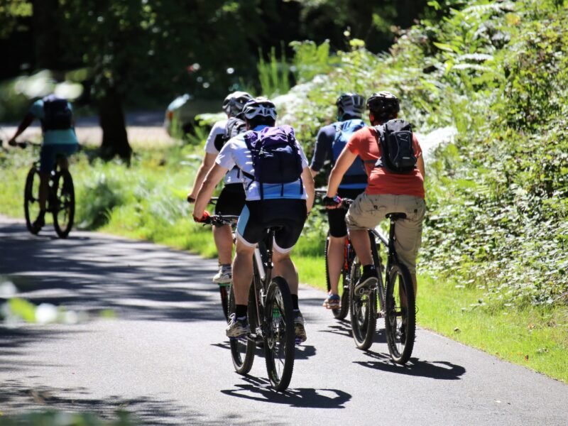 Group,Of,Mountain,Bikers,Cycling,In,The,Forest